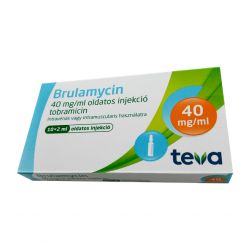 Бруламицин раствор для инъекций 40мг/мл 2мл! (80мг) ампулы №10 в Перми и области фото